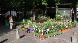 850273 Afbeelding van een grote plantenkraam op de bloemen- en plantenmarkt op het Janskerkhof te Utrecht.N.B. De markt ...